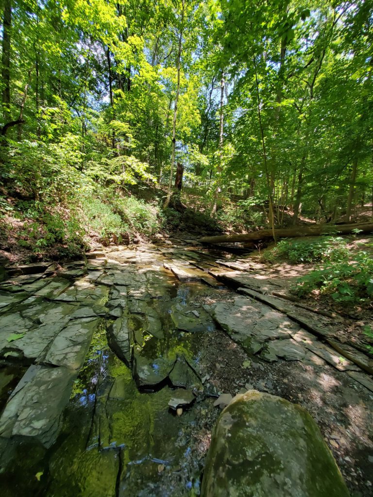 shale-lined stream bed 